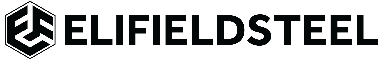 Eli Fieldsteel